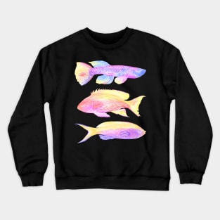 Rainbow Fishes Crewneck Sweatshirt